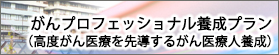 がんプロフェッショナル養成プラン（高度がん医療を先導するがん医療人養成）